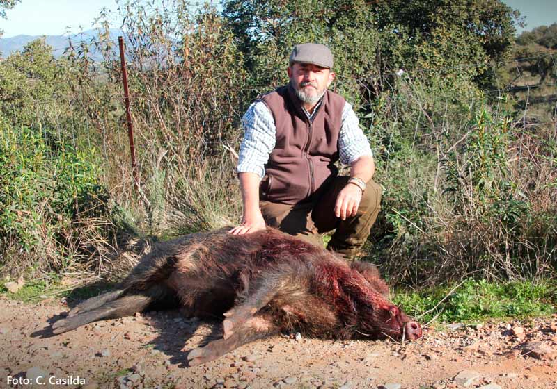 Resultado Montería Las Mengachas 2025 Monteros de Encinasola